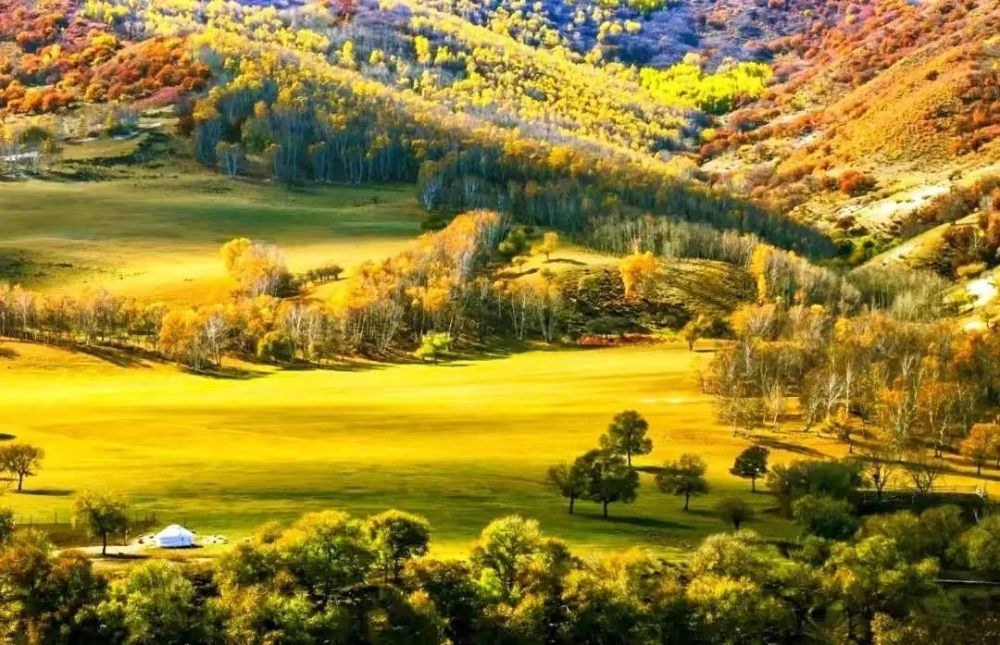 1652671469961846.jpeg 8FF8AF7E7417DBA181D223C64F2AE297.jpeg