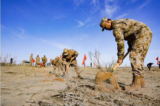 1741822351127899.jpg 植樹.jpg