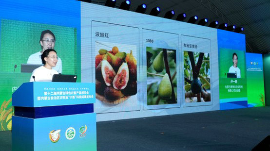 1759157705105651.jpg 包頭2.jpg