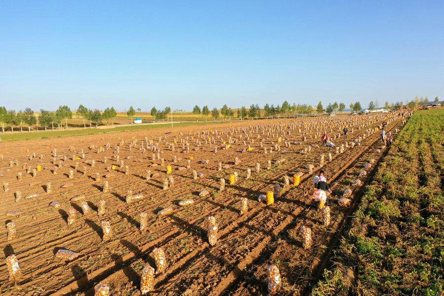 1762223524528989.jpg 7-1B3H0H6-5N7.jpg