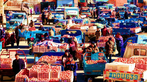 1762782407132413.jpg 番茄1.jpg