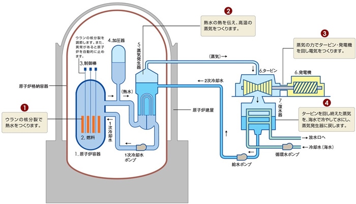 核電站運(yùn)作原理圖。通常的核電站排水未直接接觸核燃料。（圖片來(lái)源：日本北海道電力株式會(huì)社網(wǎng)站）