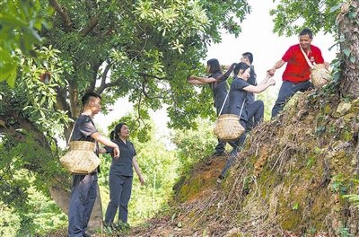 村民幫助志愿者爬上山坡。