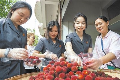 志愿者和村民一起將摘下的楊梅裝進食品盒里。