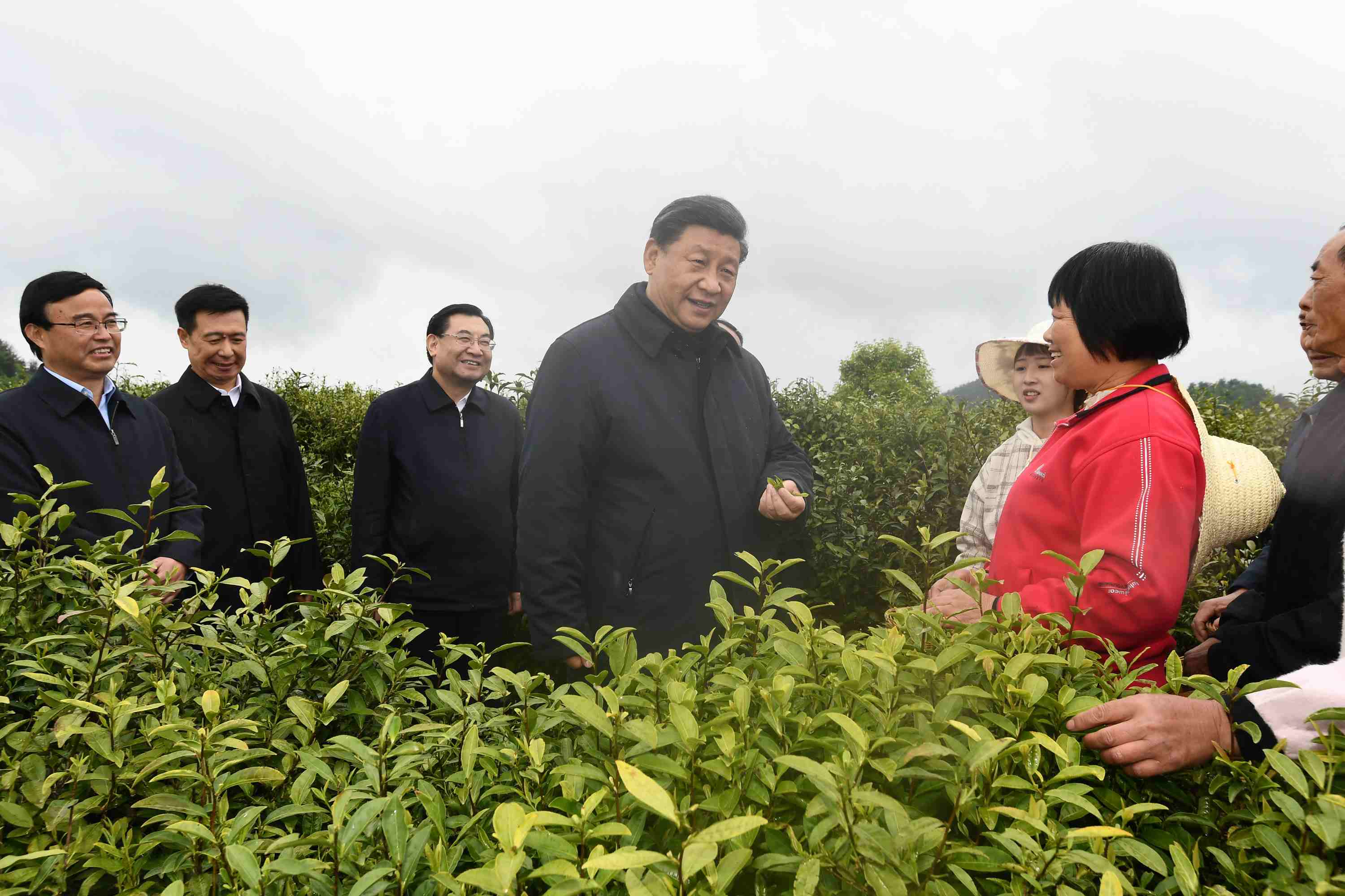 4月20日至23日，中共中央總書記、國家主席、中央軍委主席習(xí)近平在陜西考察。這是4月21日，習(xí)近平在安康市平利縣老縣鎮(zhèn)蔣家坪村女媧鳳凰茶業(yè)現(xiàn)代示范園區(qū)，同茶農(nóng)們親切交談。