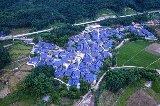 磨憨鎮(zhèn)曼莊村大龍哈小組現(xiàn)代化邊境幸福村新貌。人民網(wǎng)記者 符皓攝