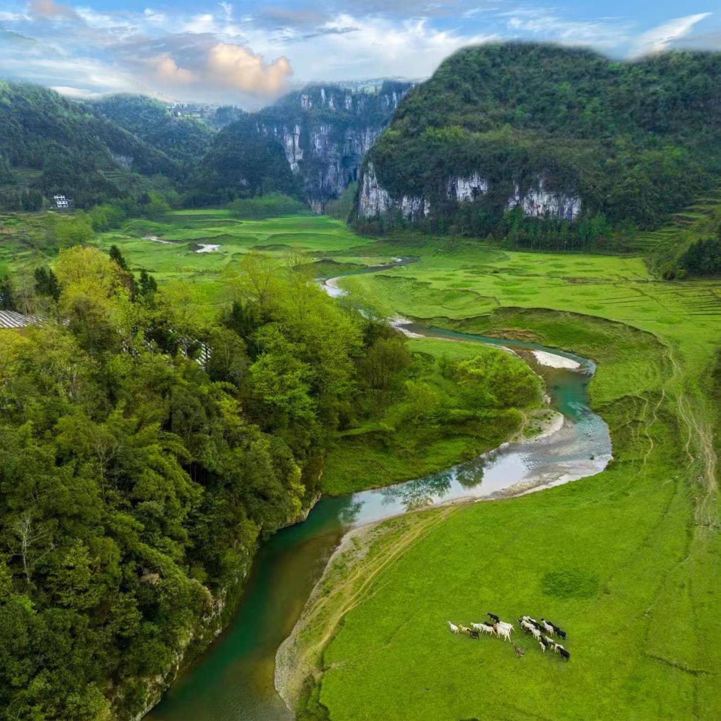 棣棠鄉(xiāng)龍氼孔千畝大草原自駕露營基地。棣棠鄉(xiāng)人民政府供圖