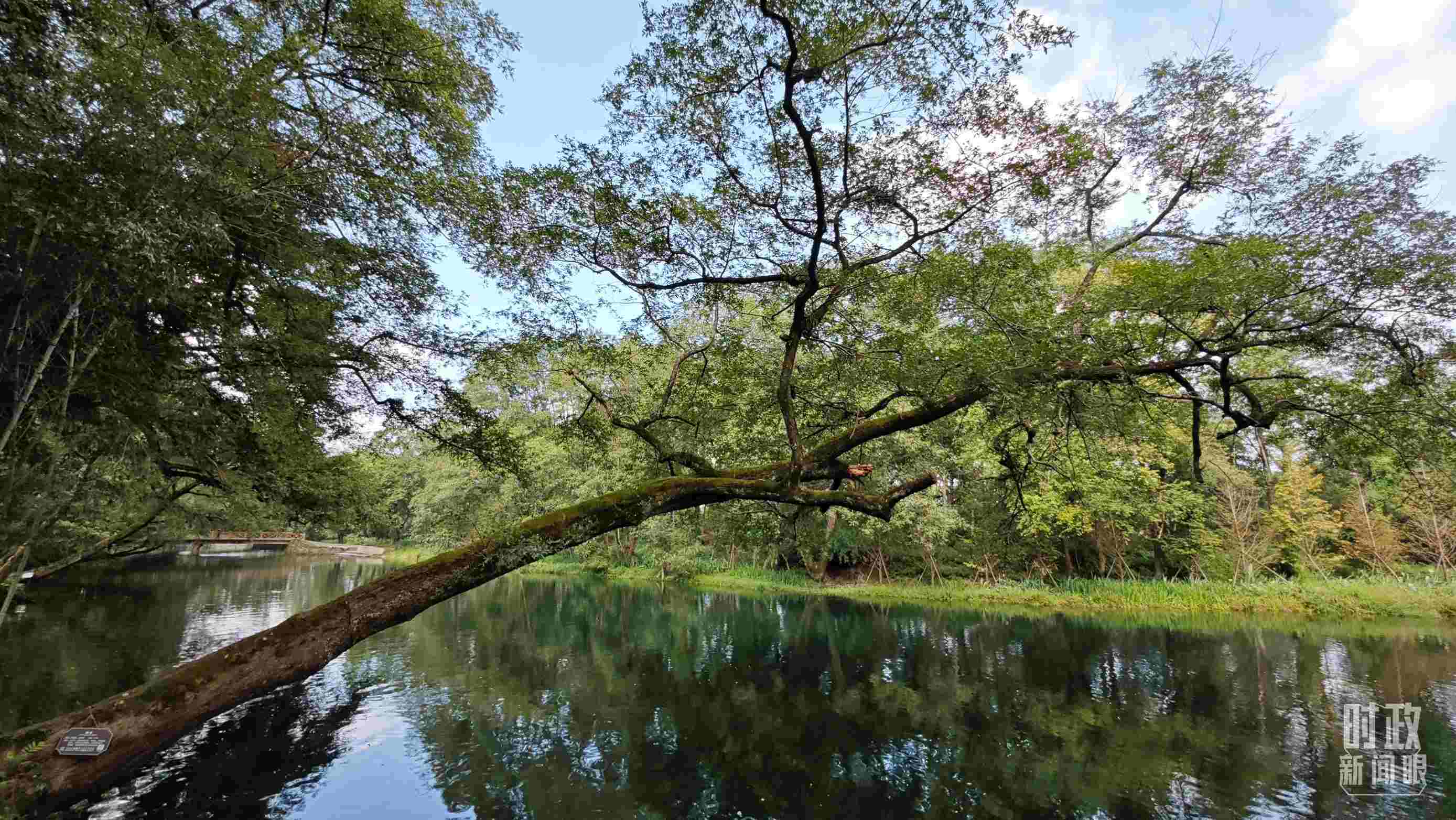 △饒河源國(guó)家濕地公園。（總臺(tái)央視記者郁振一拍攝）