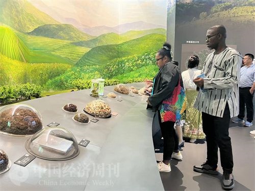  （在中國藥都中醫(yī)藥博物館，外媒記者了解中醫(yī)藥發(fā)展史。中國經(jīng)濟(jì)周刊記者 郭志強(qiáng) 攝）