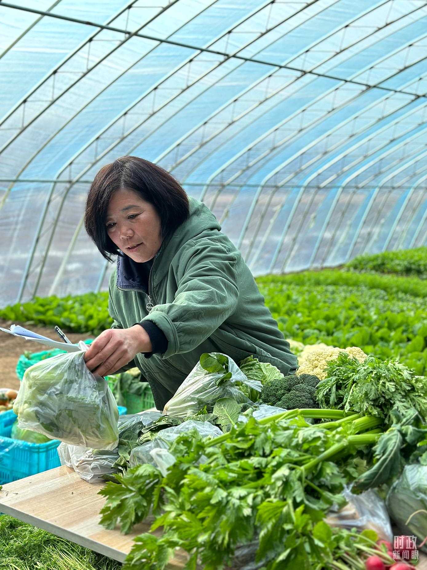 △第六埠村村民正在打包分裝蔬菜。（總臺央視記者盧心雨拍攝）