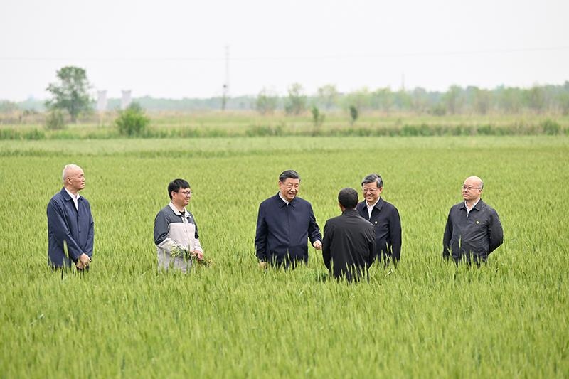 △2023年5月11日，習(xí)近平總書記在河北滄州黃驊市舊城鎮(zhèn)仙莊片區(qū)旱堿地麥田同種植戶、農(nóng)技專家親切交流。