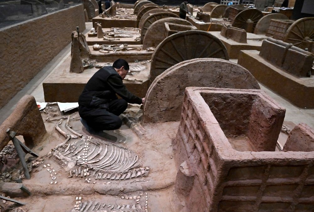 工作人員在殷墟博物館新館的展廳內(nèi)修復(fù)車馬遺跡（2月23日攝）。