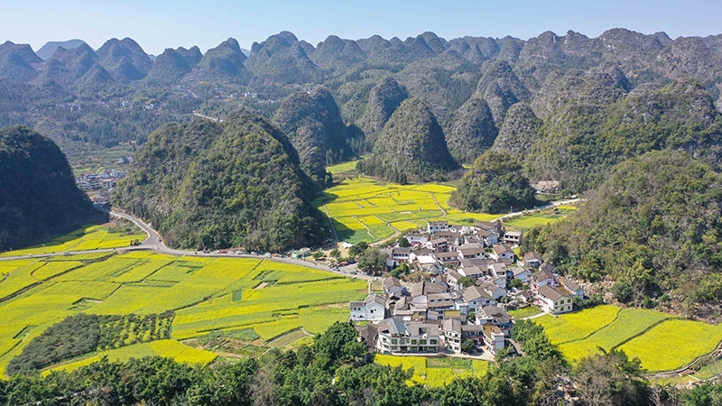 2024年2月17日，貴州省興義市萬峰林景區(qū)的油菜花海景色（無人機(jī)照片）。