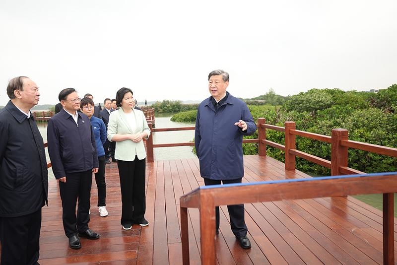 △2023年4月10日，習(xí)近平總書記在廣東湛江市麻章區(qū)湖光鎮(zhèn)金牛島紅樹林片區(qū)考察。