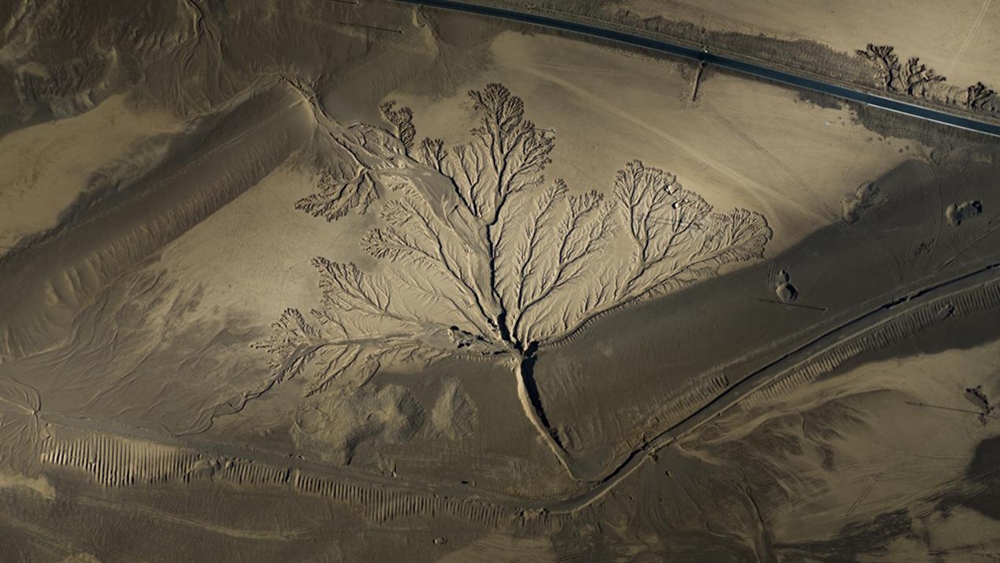 無(wú)人機(jī)視角下的西藏阿里地區(qū)改則縣“大地之樹(shù)”景觀。尼瑪多吉攝