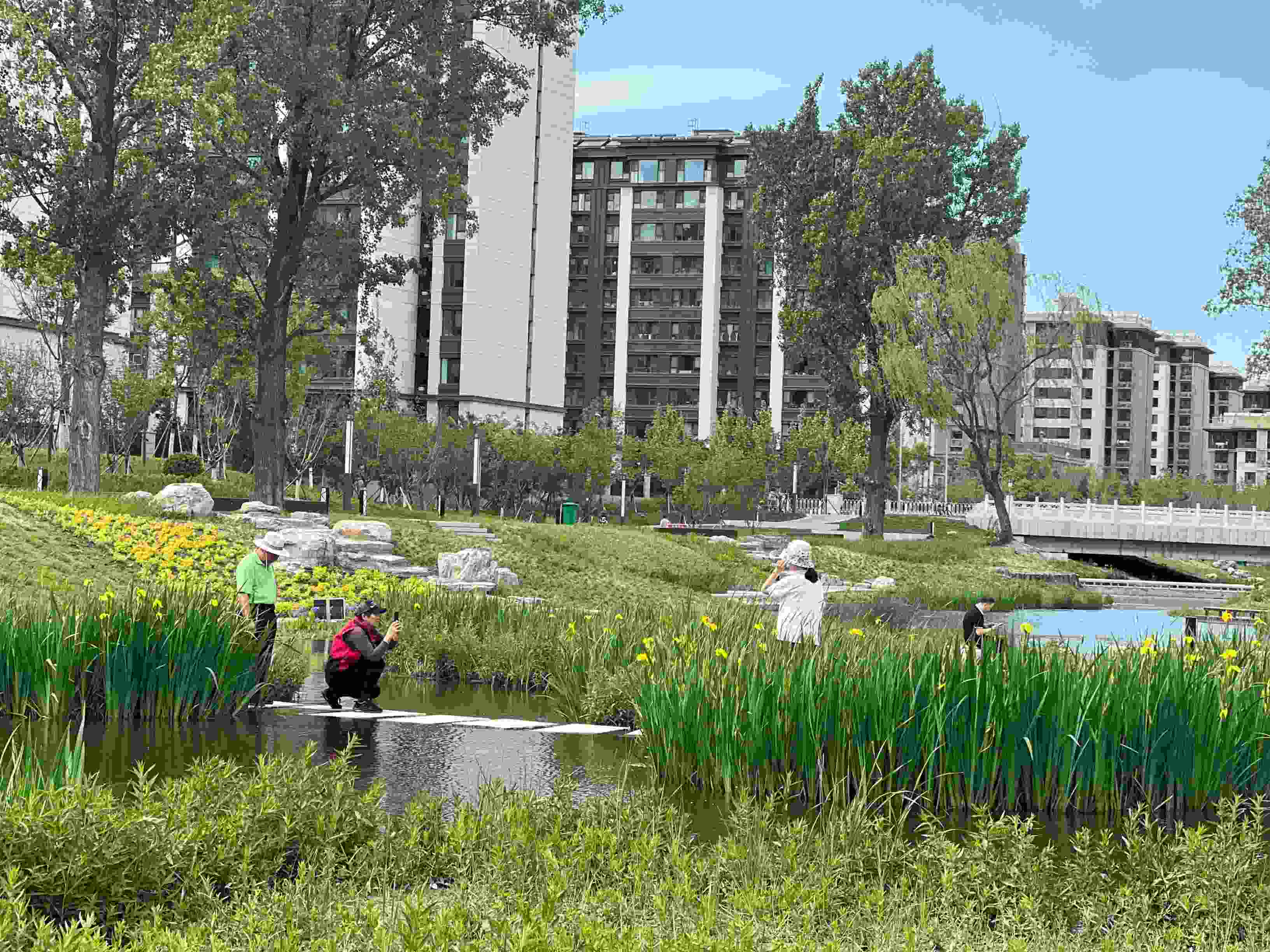 五一渠生態(tài)濱河公園內(nèi)，市民正在拍照留念。人民網(wǎng) 歐陽易佳攝