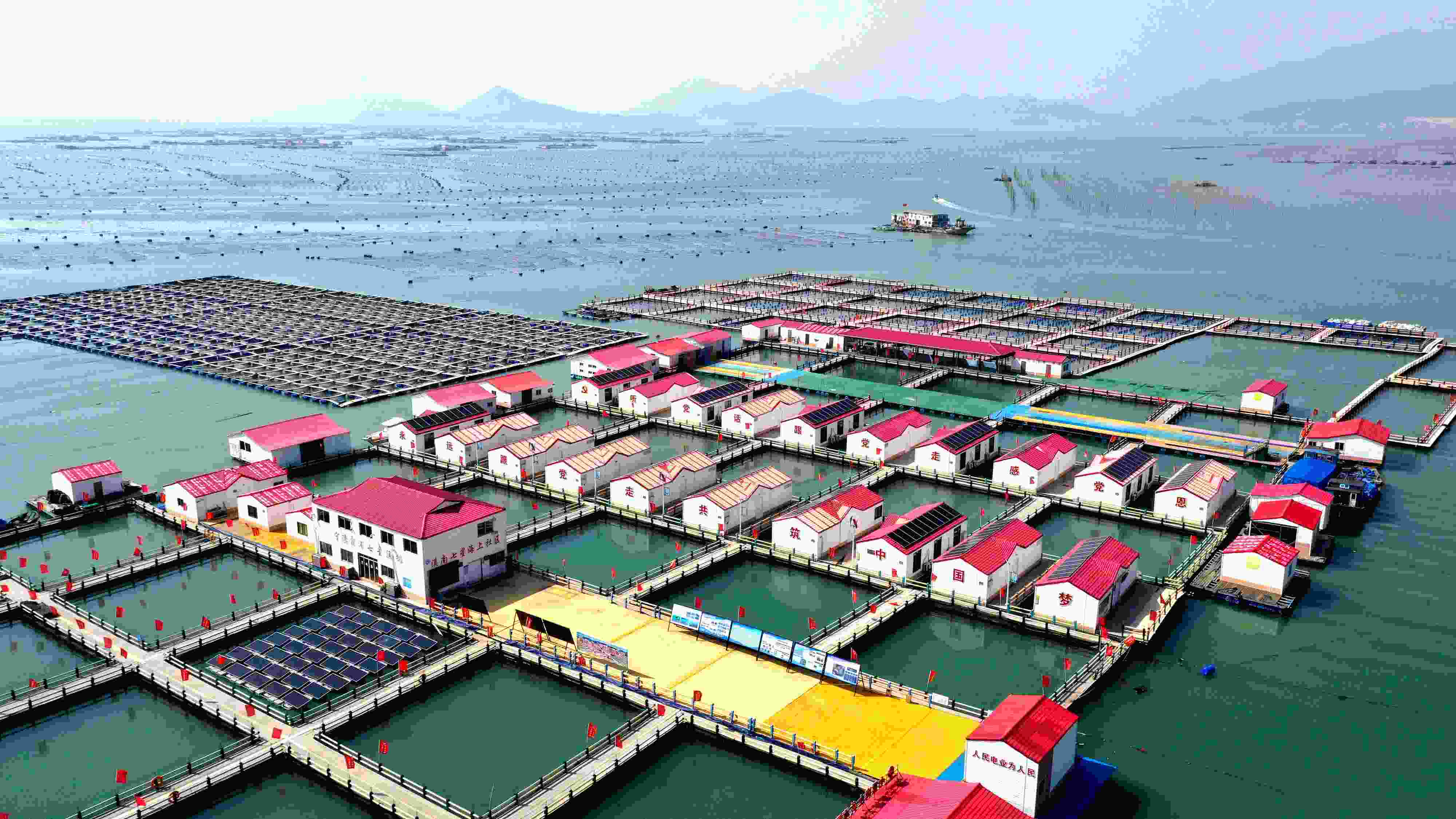 2024年3月20日，福建省寧德市，霞浦縣溪南鎮(zhèn)七星村漁排養(yǎng)殖示范區(qū)，漁民駕駛養(yǎng)殖船進行海參養(yǎng)殖作業(yè)。