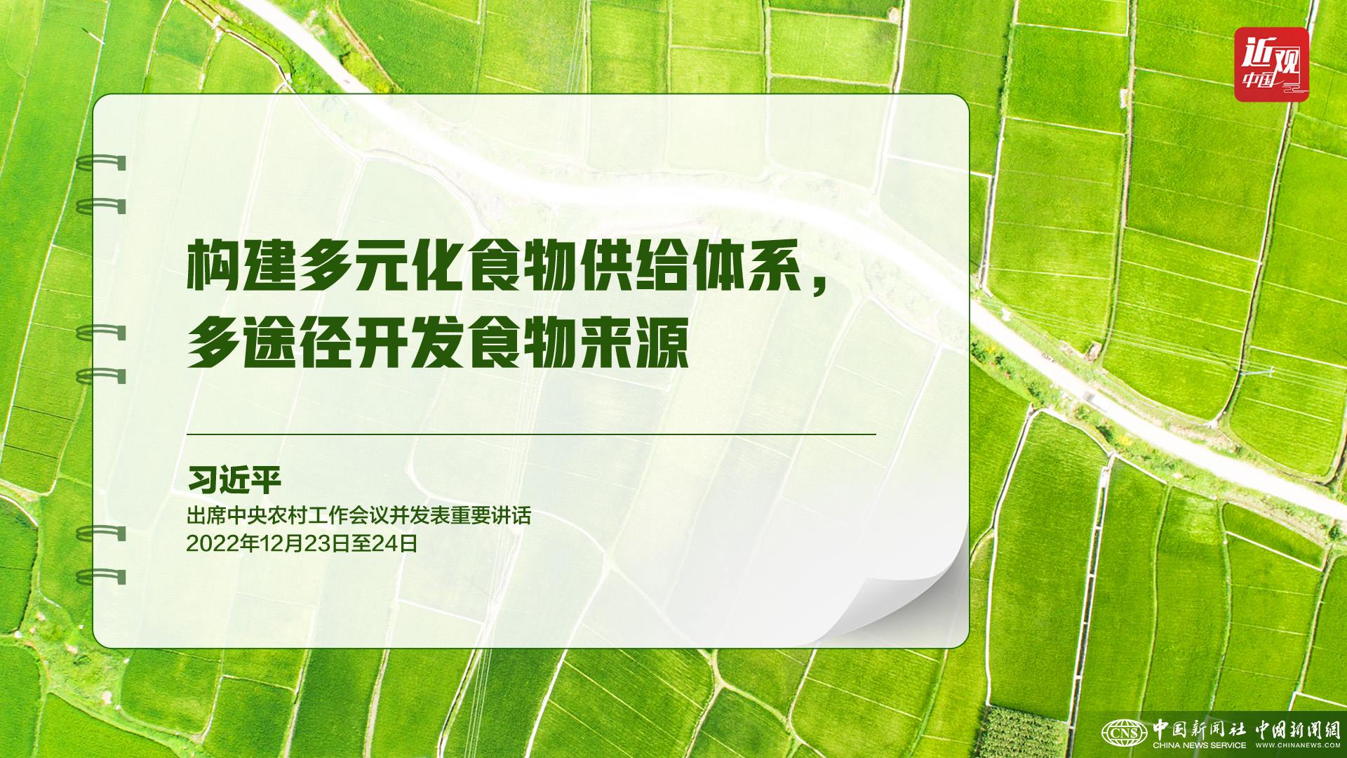 習(xí)近平：樹立大食物觀，構(gòu)建多元化食物供給體系