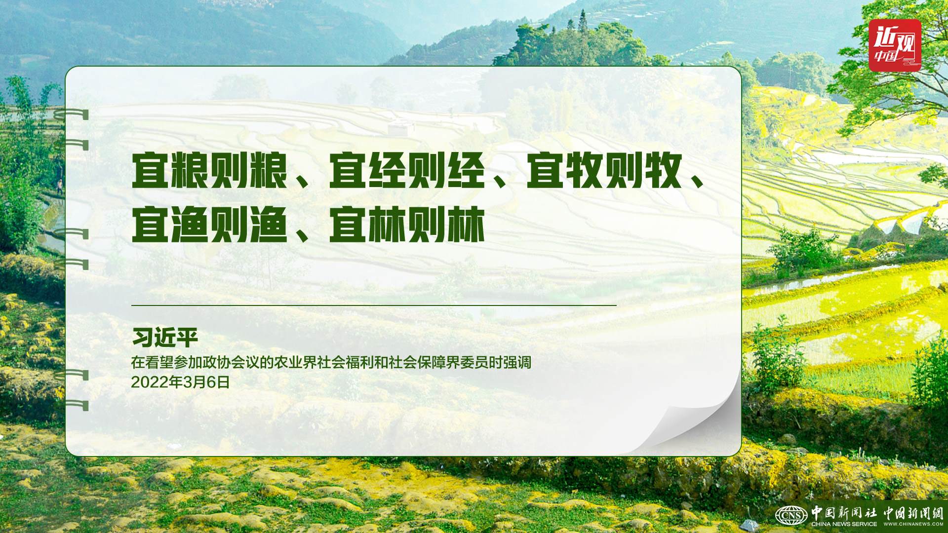 習(xí)近平：樹立大食物觀，構(gòu)建多元化食物供給體系
