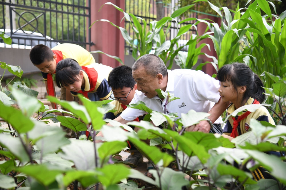 5月31日，老師帶領(lǐng)學(xué)生在之江小學(xué)勞動(dòng)實(shí)踐基地學(xué)習(xí)蔬菜知識(shí)。新華社記者 胥冰潔 攝