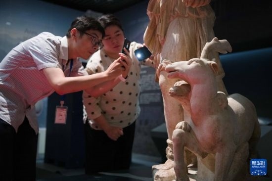 7月2日，安徽博物院工作人員在拍攝開箱后的古希臘文物。新華社記者 張端 攝