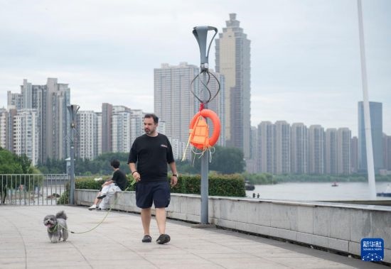 7月20日，在安徽蕪湖市，馬丁在長江邊遛狗。新華社記者 傅天 攝