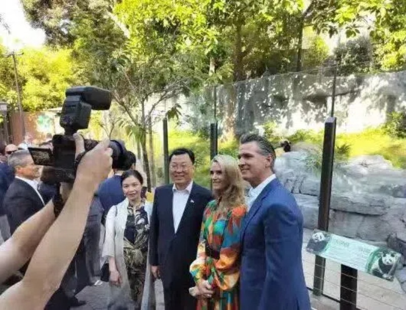 謝鋒大使及夫人與加州州長紐森夫婦在圣迭戈動物園大熊貓館前合影。圖片為中國駐美大使館提供