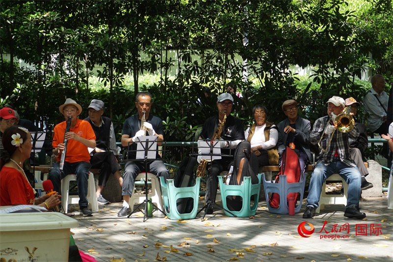 成都居民在公園里演奏歌曲。人民網(wǎng) 王禹蘅攝