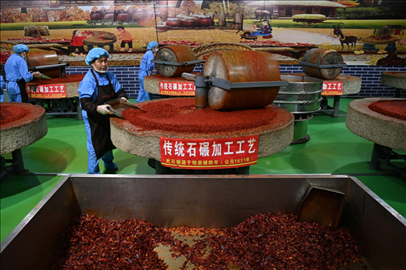 工人用電動石碾加工辣椒面。新華社記者 范培珅 攝