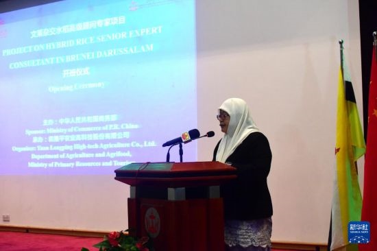 10月26日，文萊初級(jí)資源與旅游部常任秘書圖蒂亞蒂在斯里巴加灣市出席中國與文萊雜交水稻高級(jí)專家顧問項(xiàng)目啟動(dòng)儀式。新華社記者 李萌 攝