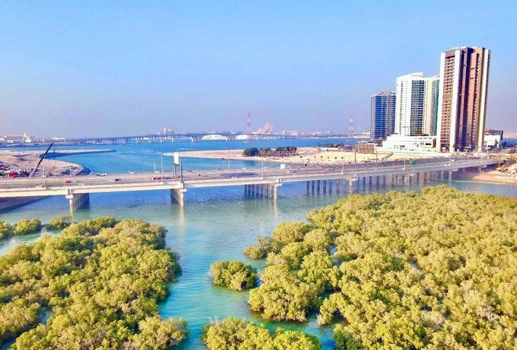 圖為瑞姆橋施工現(xiàn)場。中國土木供圖