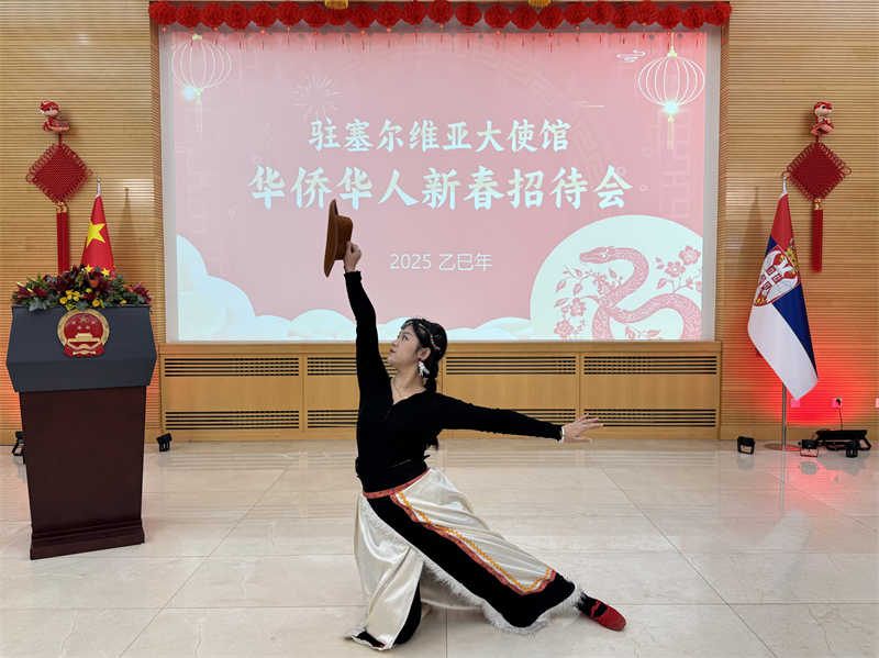 招待會現(xiàn)場表演。諾維薩德孔子學(xué)院供圖