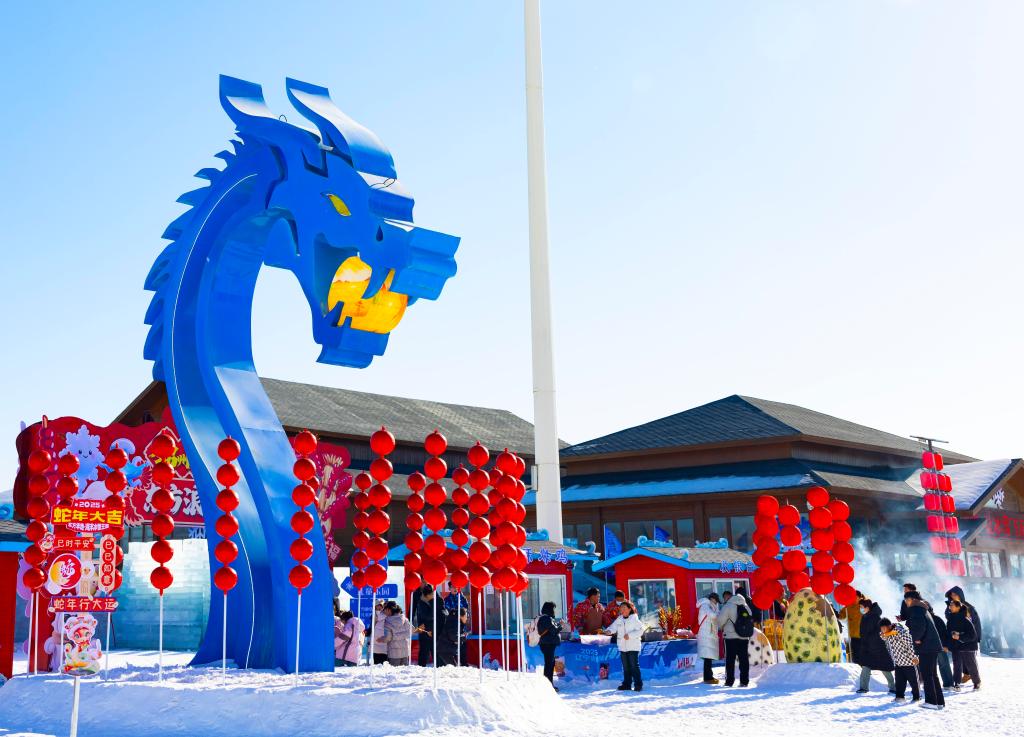 2025年1月，游客在遼寧錦州東方華地城海洋冰雪王國內(nèi)游覽。新華社發(fā)