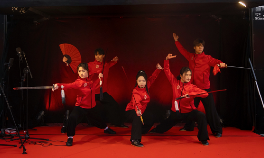 武術(shù)表演。中國(guó)駐芬蘭大使館供圖