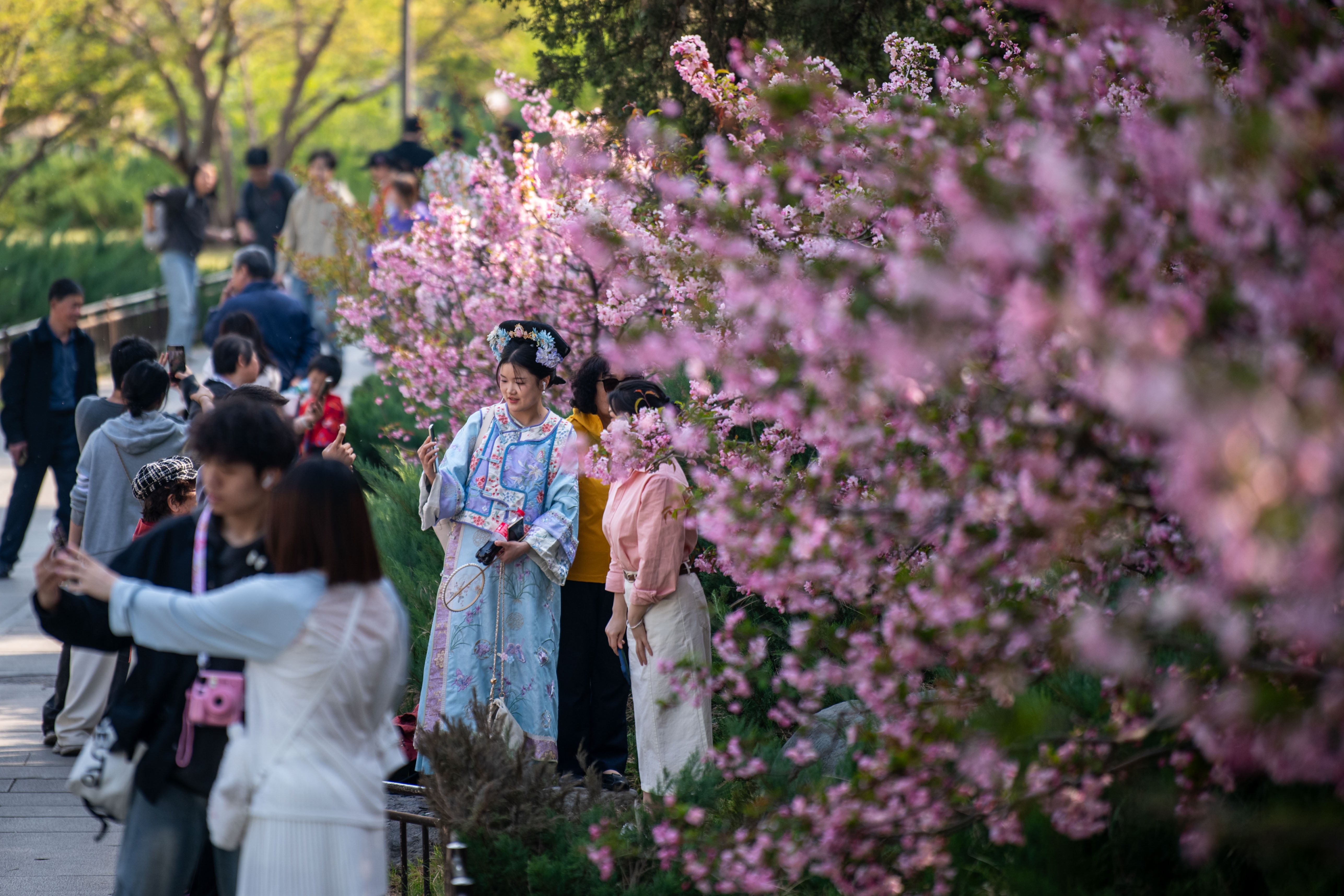 2025年4月6日，北京北海公園，滿園春色醉游人。人民網(wǎng)記者 翁奇羽攝