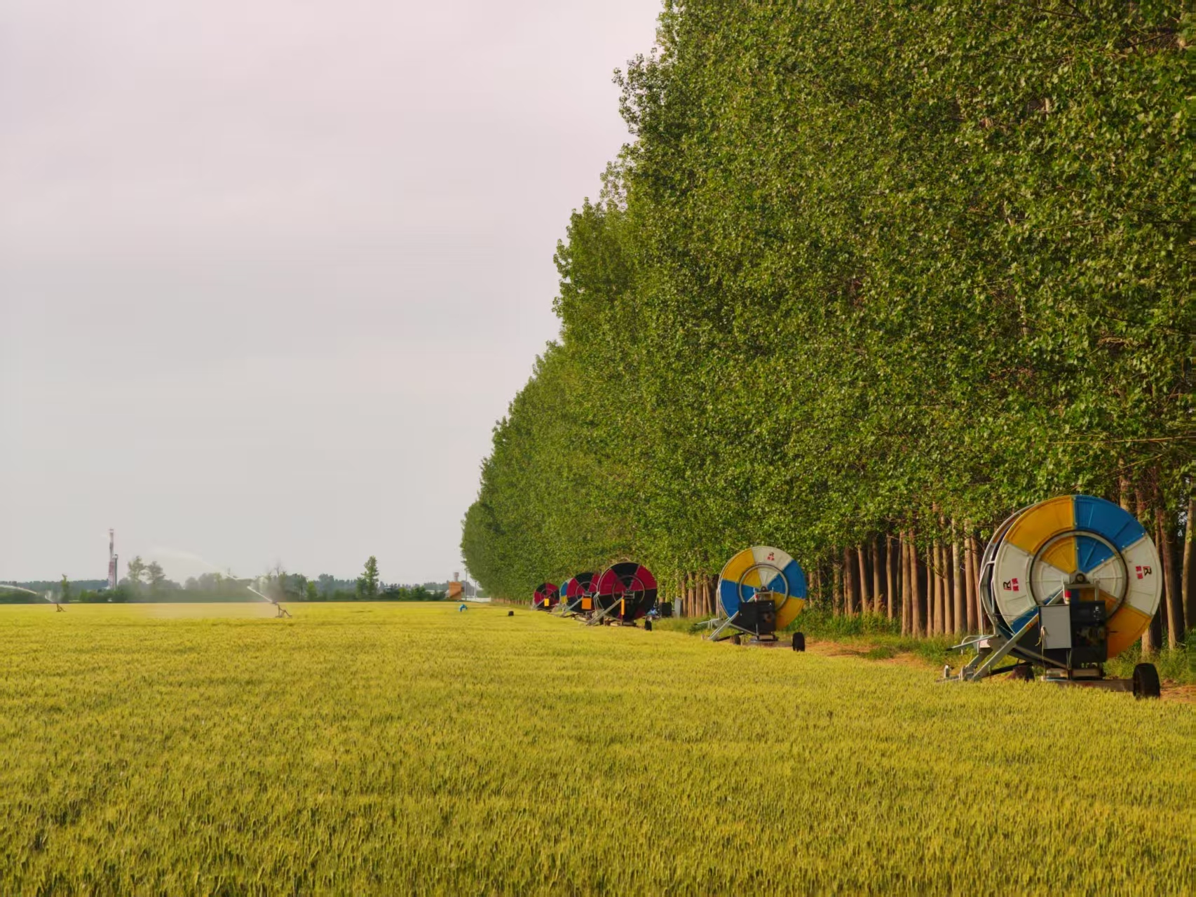陜西華陰市華西鎮(zhèn)農(nóng)墾農(nóng)場(chǎng)正在作業(yè)的卷盤式噴灌機(jī)。受訪者供圖